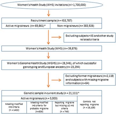 Association of Genetic Variants With Migraine Subclassified by Clinical Symptoms in Adult Females